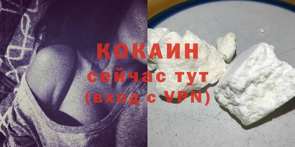соль ск Арсеньев