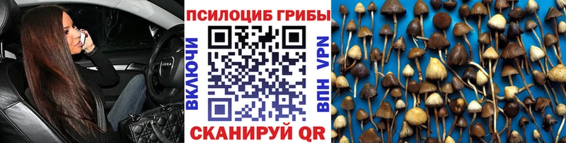 Галлюциногенные грибы GOLDEN TEACHER  купить закладку  Нея 